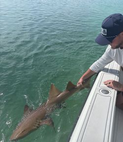 Scenic view of Stock Island