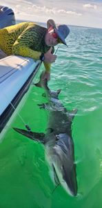 Fishing adventure in FL