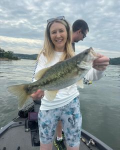 Hooked on Branson's Bass adventures