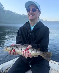 Serene fishing mornings in picturesque Branson