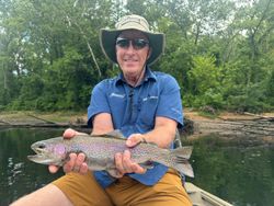 Rainbow Trout leap in Branson's clear streams