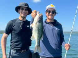 Branson adventures with a catch of the day