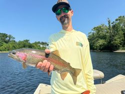Branson's rivers teem with vibrant Rainbow Trout
