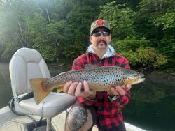 Capturing Trout amidst Branson's views