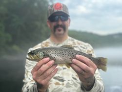 Trout caught in Branson's embrace