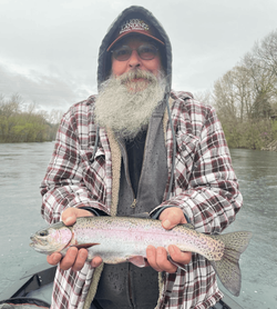 Image of a rainbow trout caught in Branson