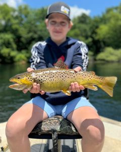 Photograph of a sea trout caught fishing in MO