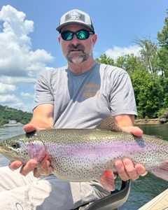 Rainbow Trout, 24-inch fish caught while fishing in MO