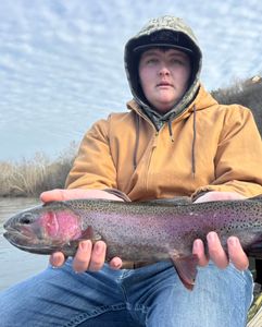 A lone rainbow trout caught in Branson
