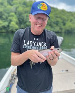 Rainbow Trout caught while fishing in Branson