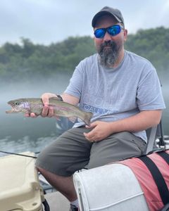 A single rainbow trout, 6 inches long, caught while fishing in Branson