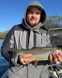 Rainbow Trout, 16-inch fish, fishing in MO