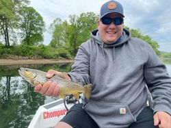 Spotted Weakfish caught in MO