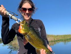 Angler fishing in FL