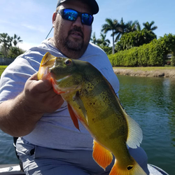 A lone angler fishing in the waters of Florida