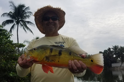 A person fishing with a rod in Florida
