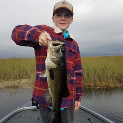 Angler fishing in Palmetto Bay
