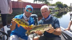 Two largemouth bass caught while fishing in FL