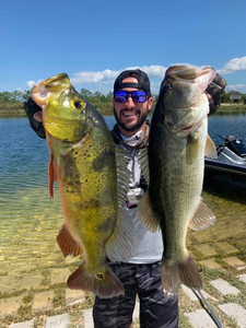 Two largemouth bass caught in Florida