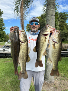 4 largemouth bass caught while fishing in FL