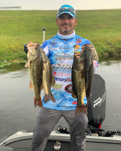 Largemouth Bass fishing in Palmetto Bay