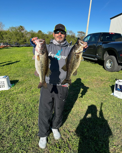 Two largemouth bass caught in Palmetto Bay while fishing