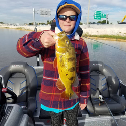 Peacock bass caught in Palmetto Bay