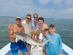 1 Blacktip Shark, fishing tour in St. Petersburg