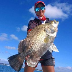 Fishing tour in FL with 1 person and a 24-inch fish caught