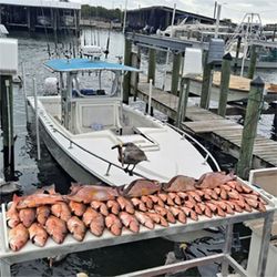 Scenic fishing tour in Florida