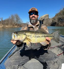 Bass battles on the river! 