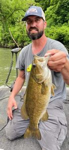 Missouri fishing for bass
