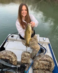 Smallmouth bass fishing