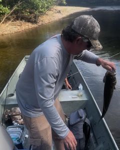 Angler fishing in Richland