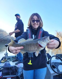 Smallmouth Bass caught fishing in Richland