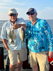Best Crappie Guides Toledo Bend