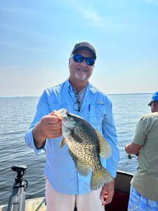 Image of a Crappie fish caught in LA
