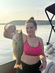 Largemouth Bass caught fishing in LA