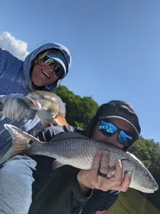 Redfish caught while fishing in Florida
