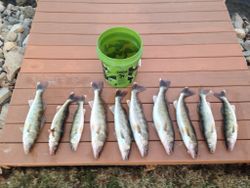 6 caught fish in Phelps during a fishing outing