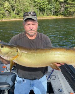 Single angler fishing in Wisconsin