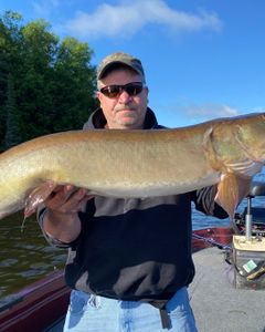A lone angler reeling in a 24-inch catch in WI