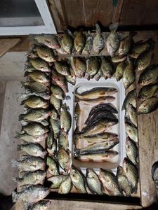 Fishing trip in WI
