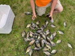 Scenic view of Phelps location