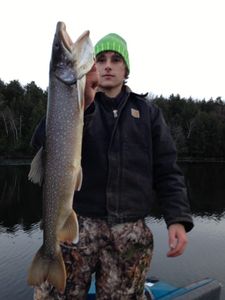 Angler fishing in Phelps