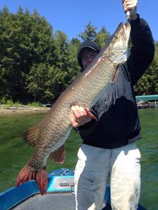 Angler with a big fish in Phelps