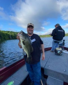 Largemouth Bass caught in WI