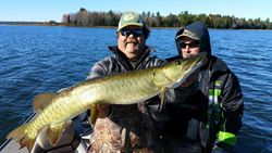 Muskellunge, a big fish caught while fishing in WI