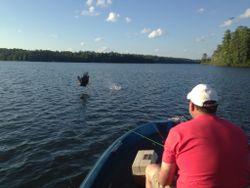 Muskie in Wisconsin