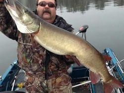 Muskellunge fish caught by person in Phelps